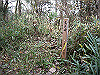 ootaka28_thumb.png