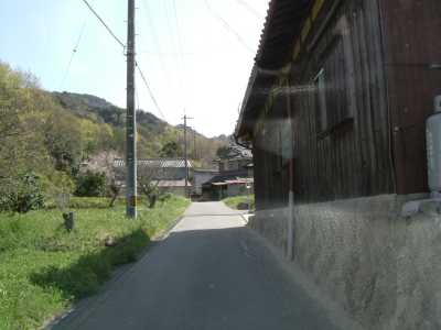 toramaru08.jpg
