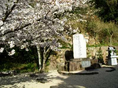 toramaru09.jpg