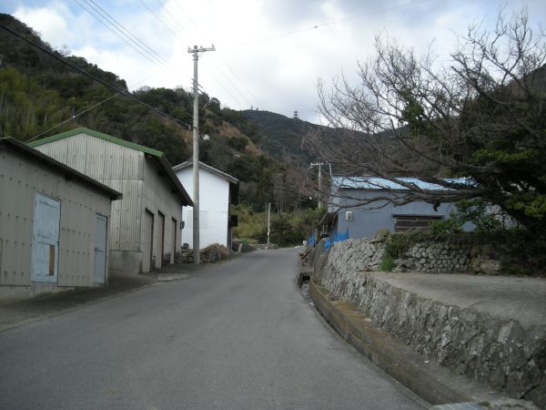 yuzu02.jpg