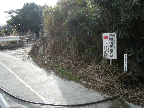 yuzu05.jpg