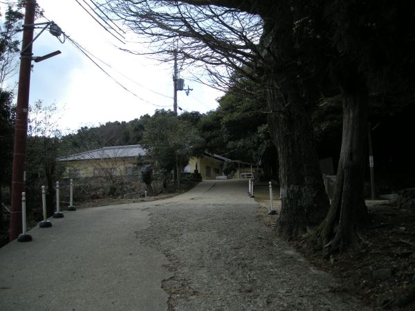 yuzu42.jpg