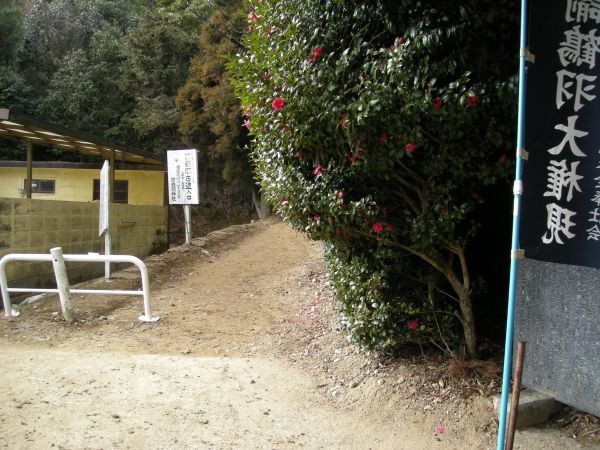 yuzu43.jpg