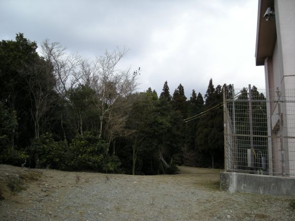 yuzu49.jpg