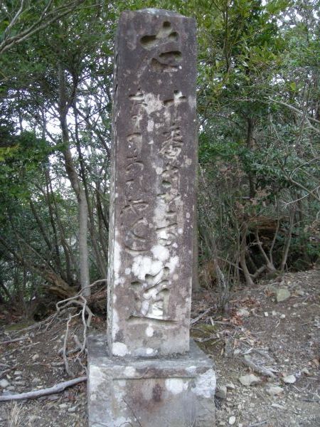 yuzu15.jpg