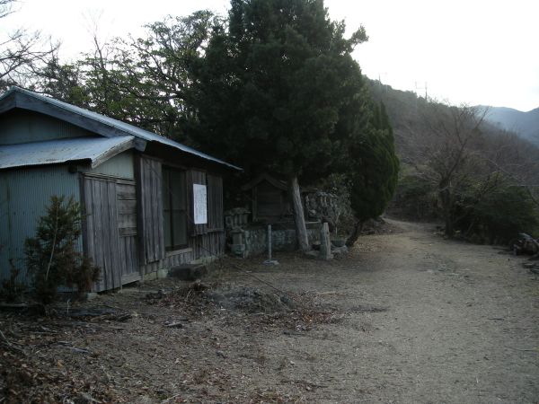 yuzu18.jpg