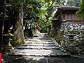 buna011_thumb.png