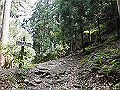 buna013_thumb.png