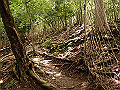 buna014_thumb.png