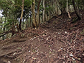buna017_thumb.png