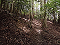 buna018_thumb.png