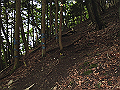 buna020_thumb.png