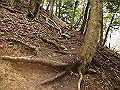 buna023_thumb.png