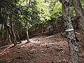 buna024_thumb.png