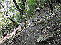 buna028_thumb.png
