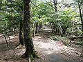 buna032_thumb.png