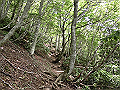 buna035_thumb.png