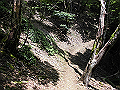 buna036_thumb.png