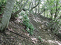 buna038_thumb.png