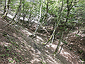 buna039_thumb.png