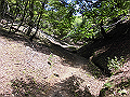 buna040_thumb.png