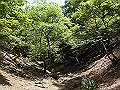 buna041_thumb.png