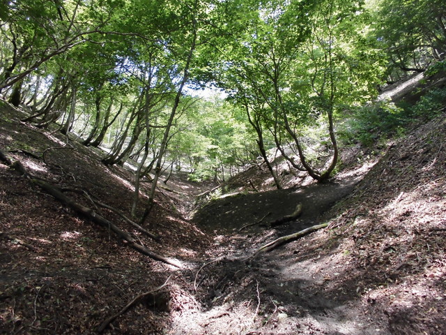 buna042.jpg
