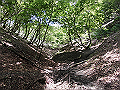 buna042_thumb.png