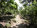 buna049_thumb.png