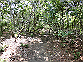 buna050_thumb.png