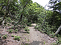 buna051_thumb.png
