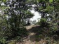 buna053_thumb.png