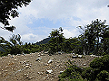 buna054_thumb.png
