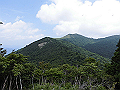 buna055_thumb.png