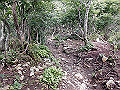 buna056_thumb.png