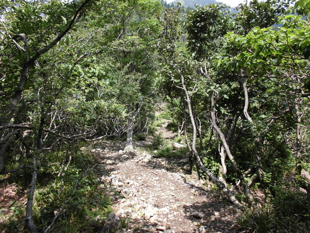 buna057.jpg