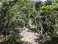 buna057_thumb.png