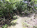 buna058_thumb.png