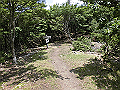 buna059_thumb.png