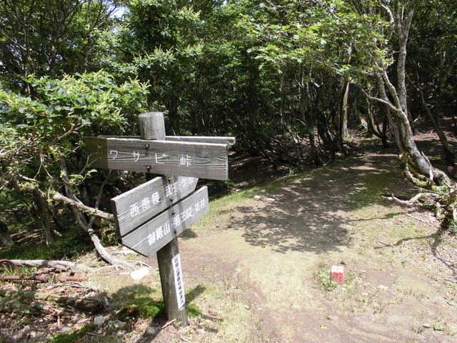 buna060.jpg