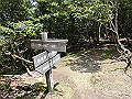 buna060_thumb.png