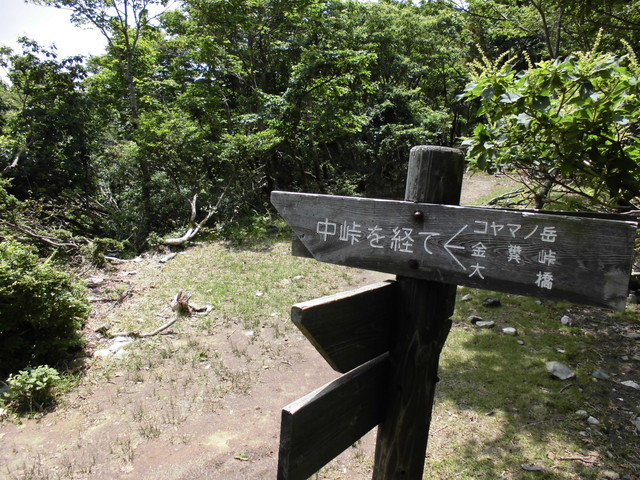 buna061.jpg