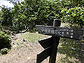 buna061_thumb.png