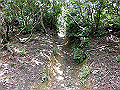 buna062_thumb.png