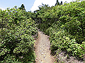buna063_thumb.png