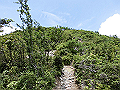 buna064_thumb.png
