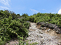 buna065_thumb.png