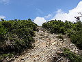 buna066_thumb.png