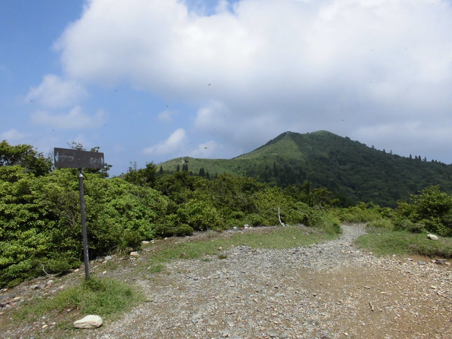 buna067.jpg