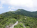 buna068_thumb.png